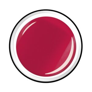 Wiel kunststof Support Design met rem 1