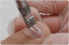 Nagelregulatie