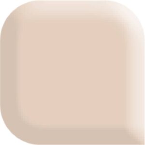 Astonishing Acrylic Powder Cover Nude 25gr 1