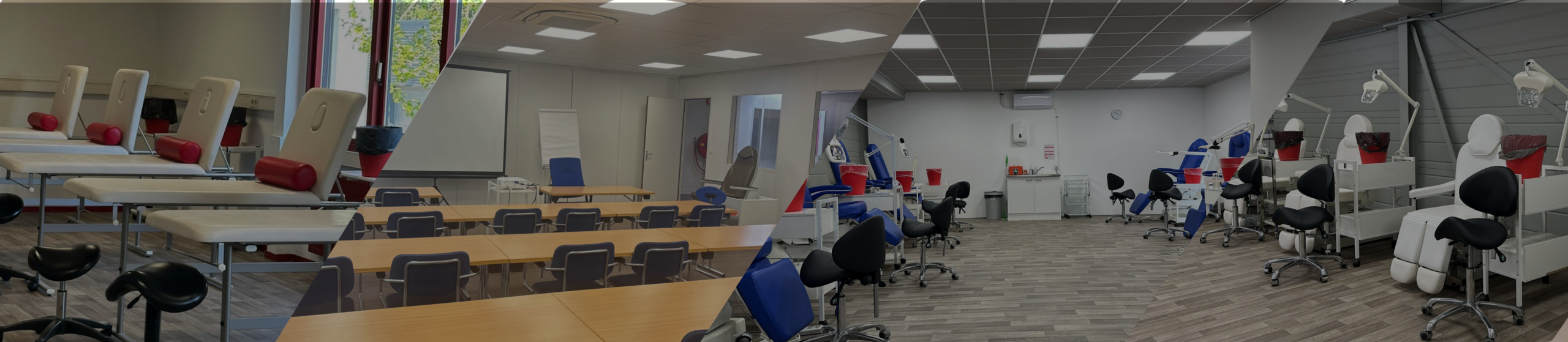 Trainingen & Workshops
